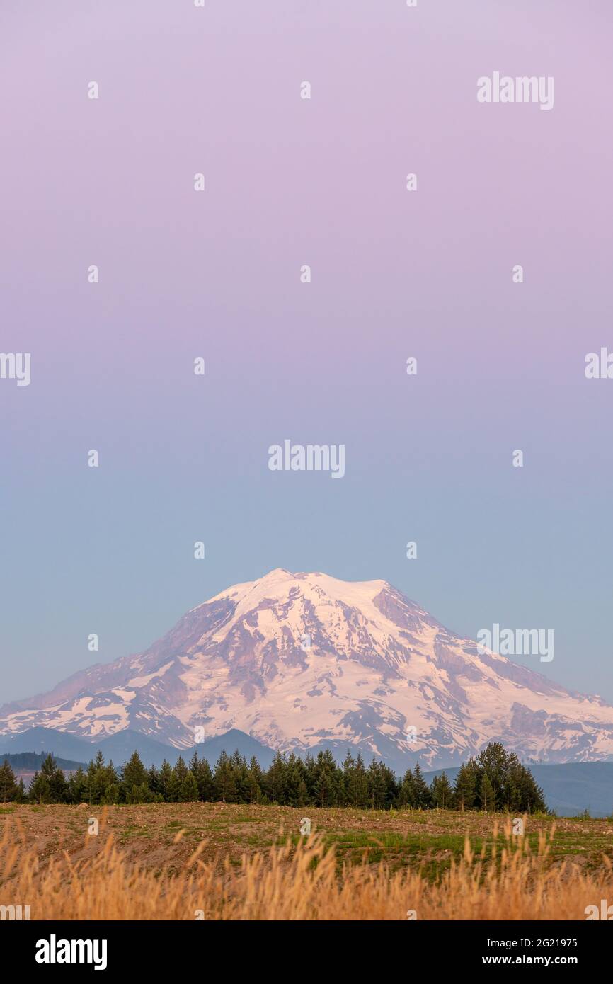 Mt. Rainier au coucher du soleil avec le ciel violet Banque D'Images