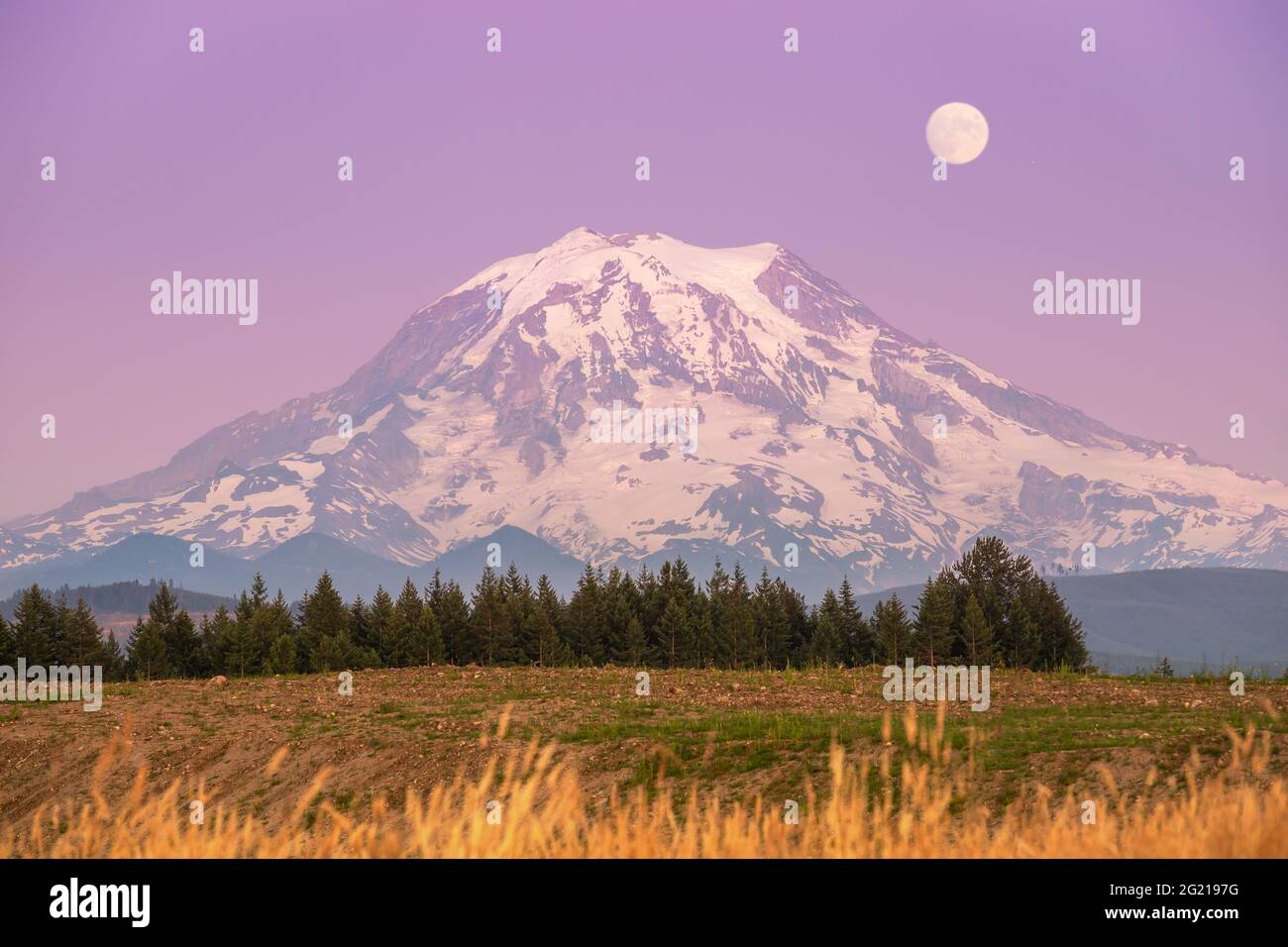 Mt. Rainier au coucher du soleil avec lune dans le ciel violet Banque D'Images