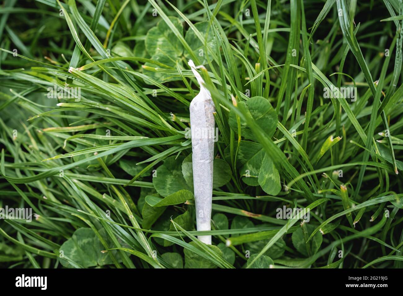 Joint de marijuana sur un fond d'herbe verte Banque D'Images