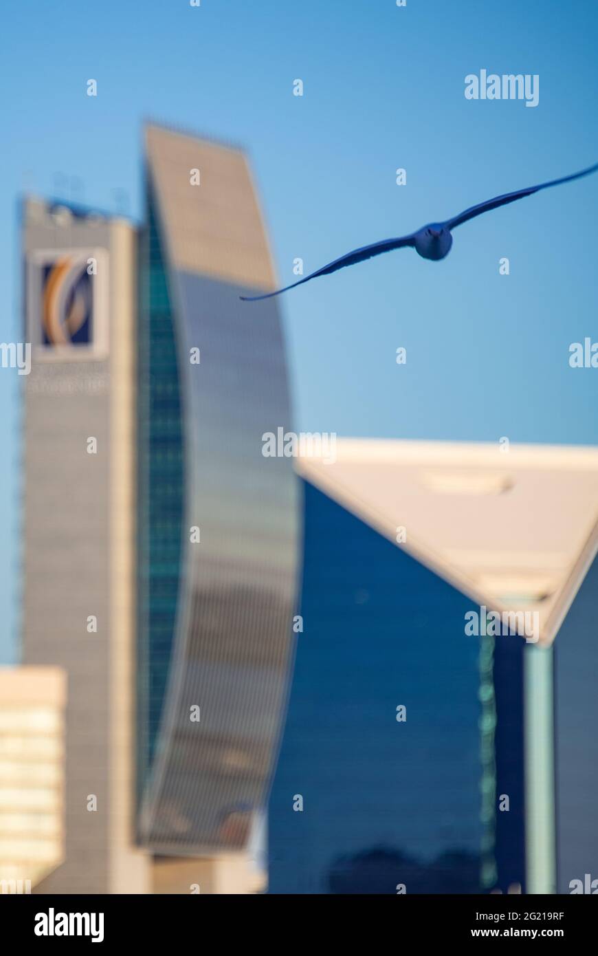 Architecture moderne de Dubaï, Émirats Arabes Unis Banque D'Images