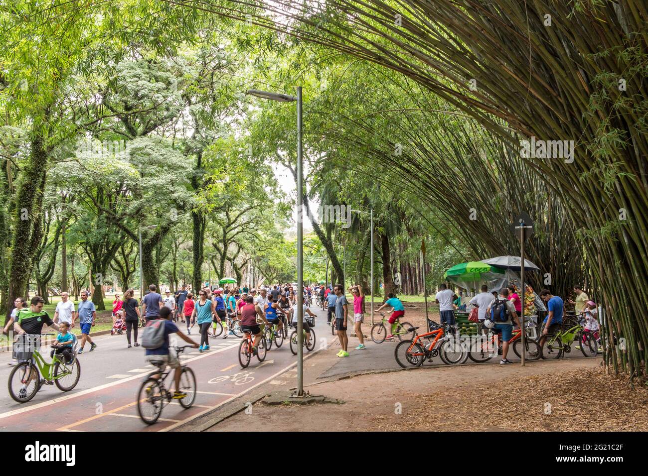 Parc Ibirapuera un jour d'été, Sao Paulo, SP Brésil Banque D'Images