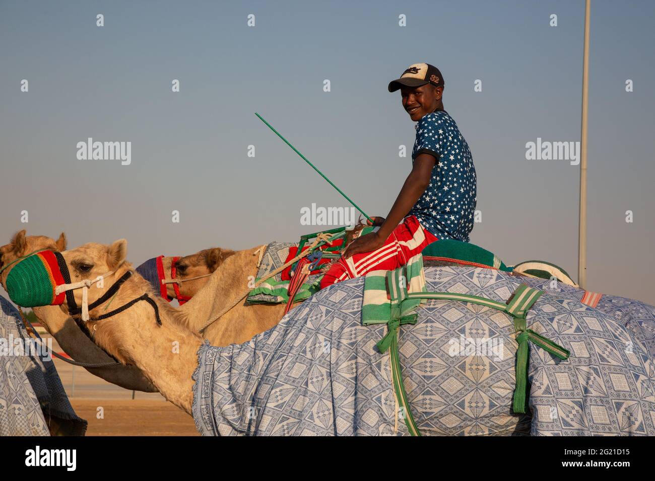 Un jeune homme s'entraîne au Camel à L'hippodrome AL Marmoom, Dubaï, Émirats arabes Unis Banque D'Images