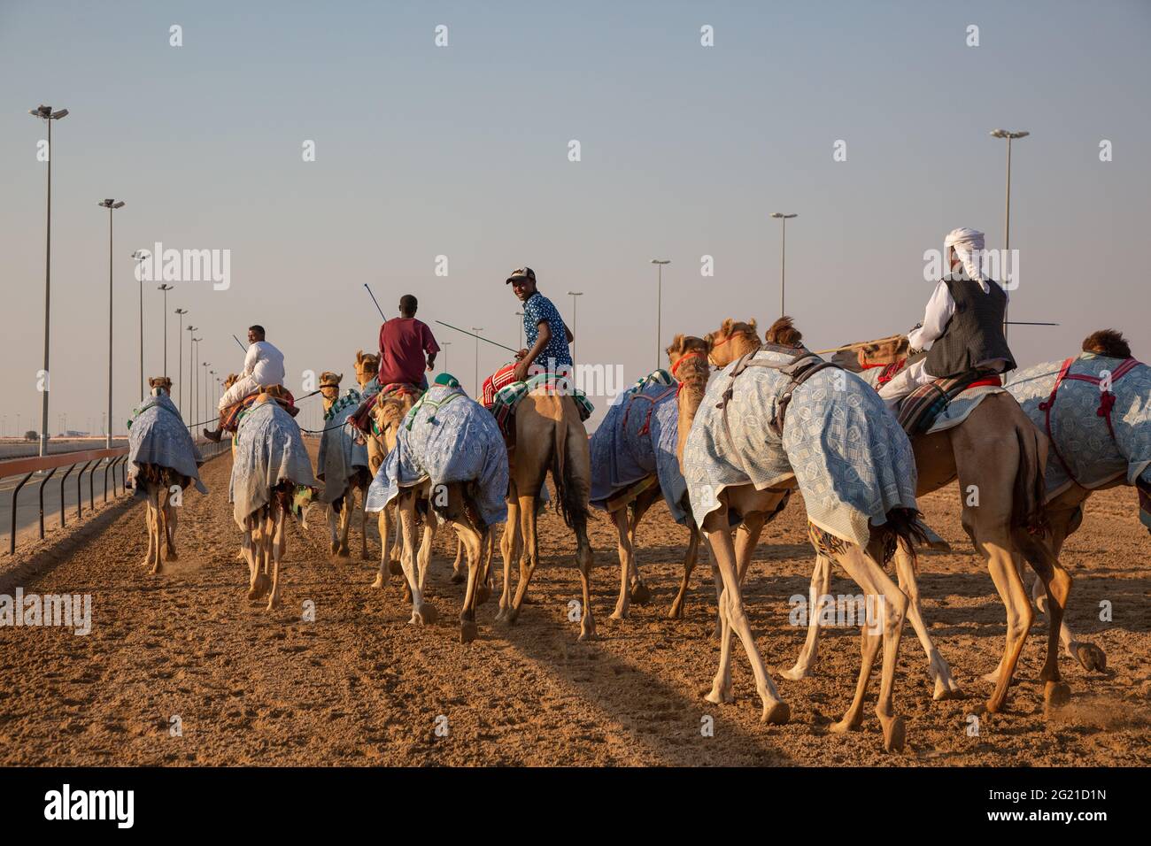 Entraînement à dos de chameau à L'HIPPODROME AL Marmoom Camel, Dubaï, Émirats arabes Unis Banque D'Images