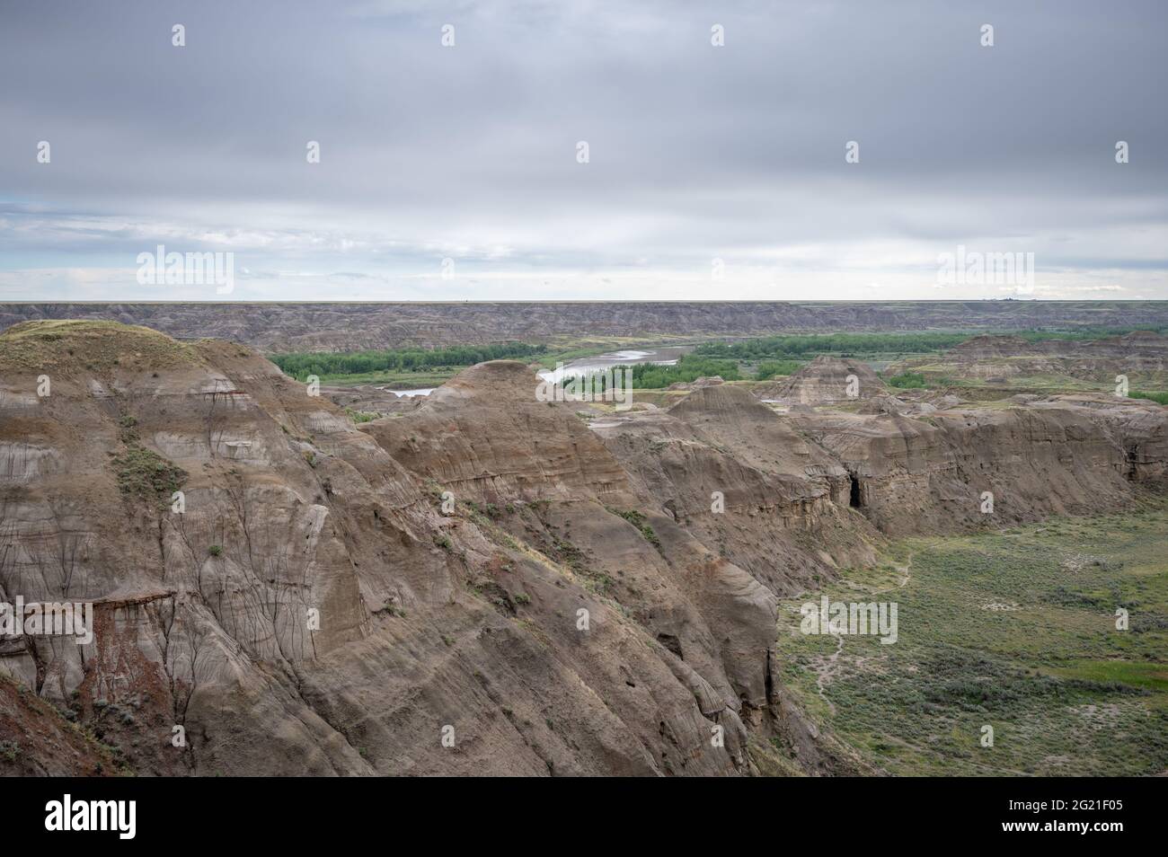 Parc provincial des dinosaures en Alberta, Canada, site classé au patrimoine mondial de l'UNESCO, réputé pour sa topographie saisissante des badland et son abondance de fossiles de dinosaures, Banque D'Images