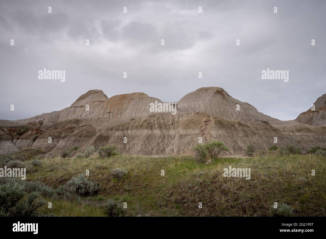 Parc provincial des dinosaures en Alberta, Canada, site classé au patrimoine mondial de l'UNESCO, réputé pour sa topographie saisissante des badland et son abondance de fossiles de dinosaures, Banque D'Images