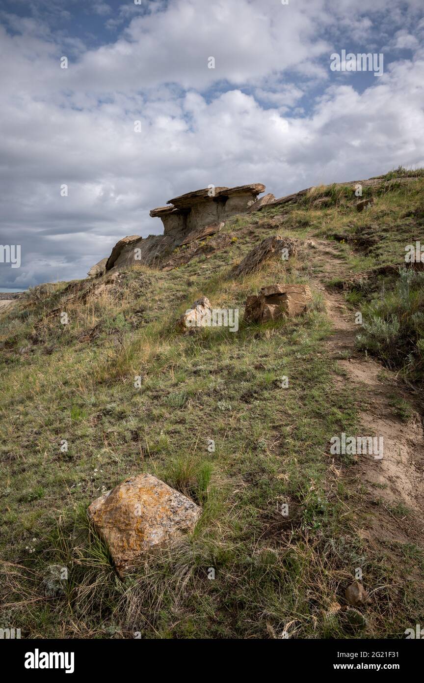 Parc provincial des dinosaures en Alberta, Canada, site classé au patrimoine mondial de l'UNESCO, réputé pour sa topographie saisissante des badland et son abondance de fossiles de dinosaures, Banque D'Images