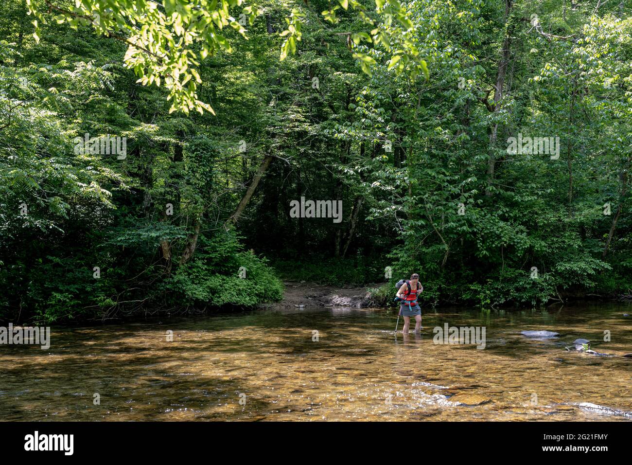 Shin profondément dans le ruisseau traversant une randonnée dans les Smokies Banque D'Images