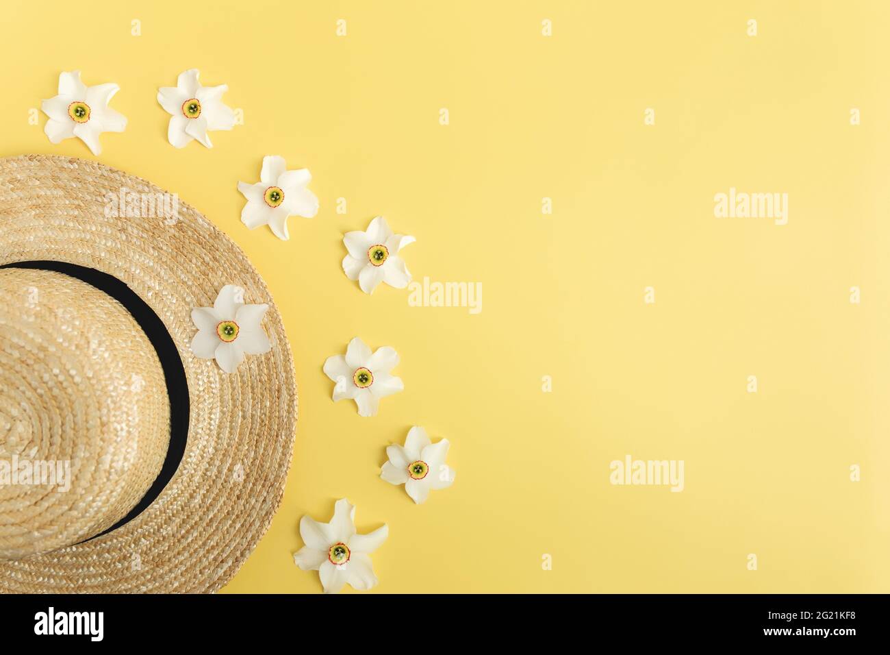 Collection d'été concept plat sur fond jaune avec chapeau de paille et têtes de fleur de jonquille. Photo de haute qualité Banque D'Images