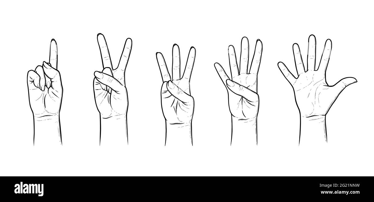 Gestes pour compter de un à cinq. Ensemble de mouvements de la main affichant les chiffres. Illustration vectorielle d'esquisse isolée sur fond blanc Illustration de Vecteur