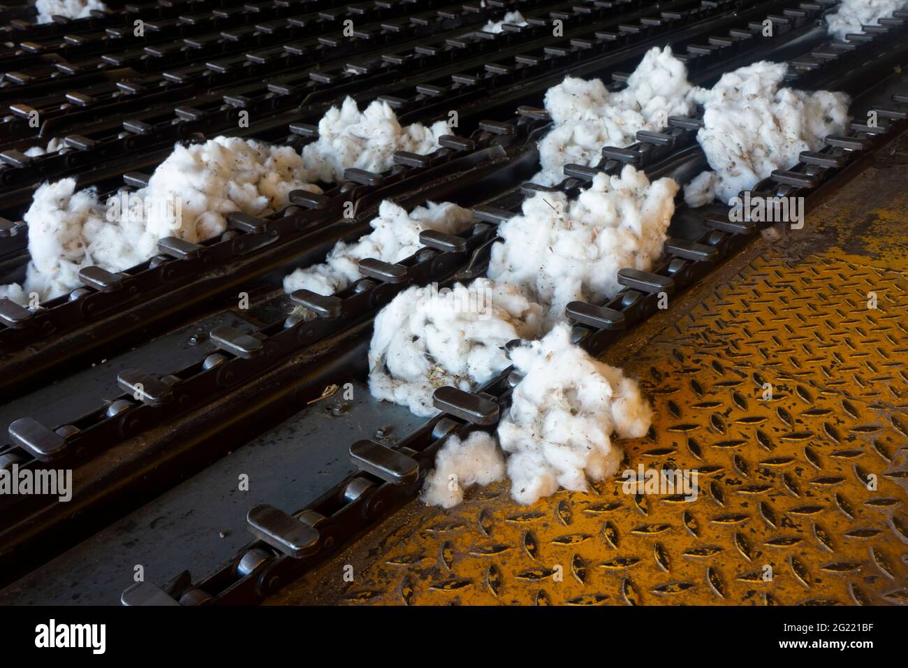 Déchets de coton brut qui sont tombés de la balle principale dans le système d'alimentation d'un coton gin. Banque D'Images
