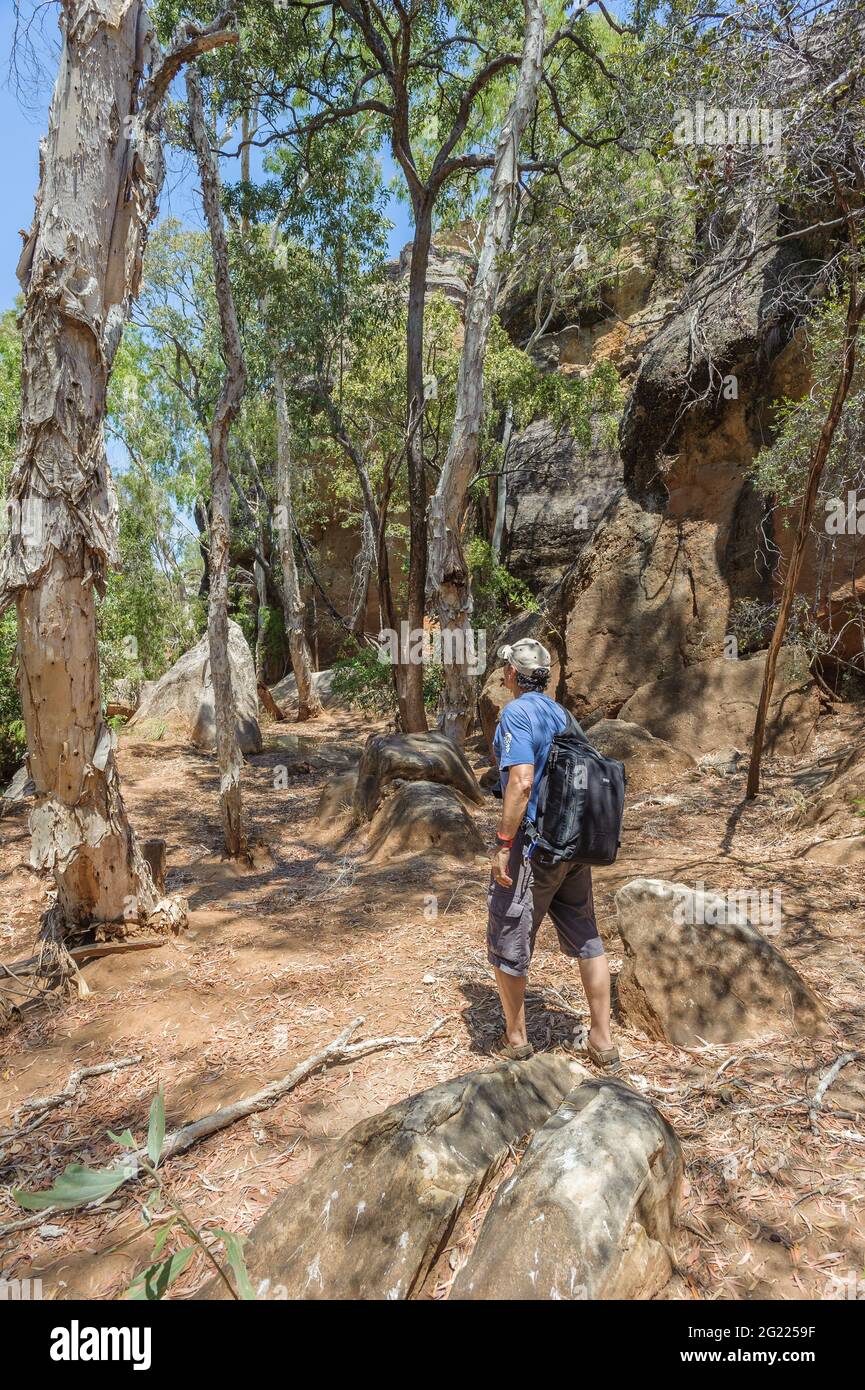 Un randonneur solitaire qui apprécie la scène pittoresque de la gorge de Cobbold Creek dans l'Outback du Queensland, en Australie. Banque D'Images