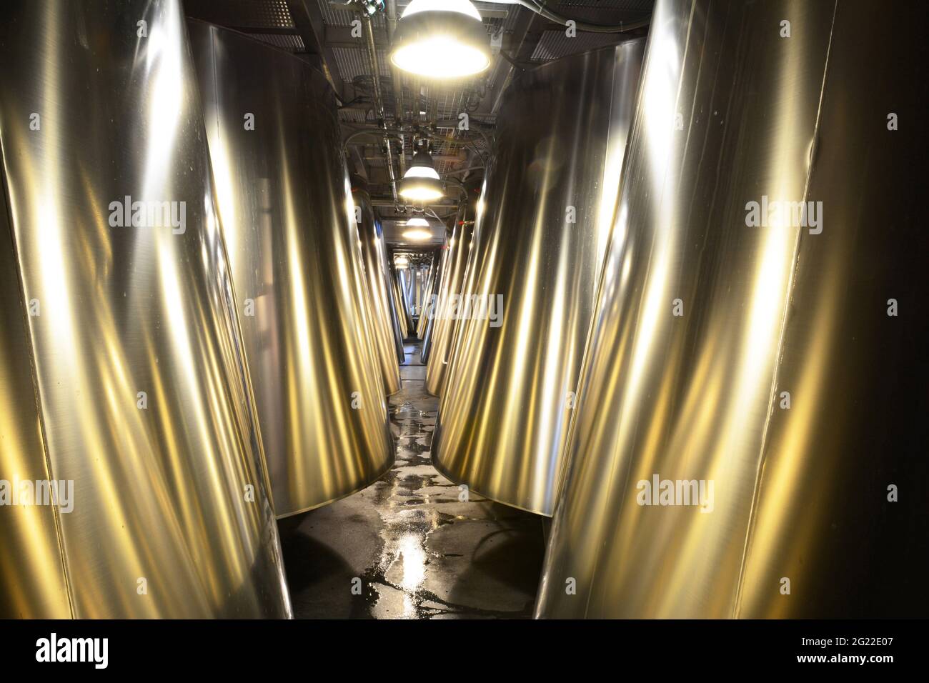 GIRONDE (33). BORDELAIS. MÉDOC. SAINT-ESTÈPHE. COS D'ESTOURNEL. LA NOUVELLE CAVE DE VINIFICATION INOX RÉALISÉE EN 2008 PAR L'ARCHITECTE FRANÇAIS JEAN-MICHEL WILMOTTE EST U Banque D'Images