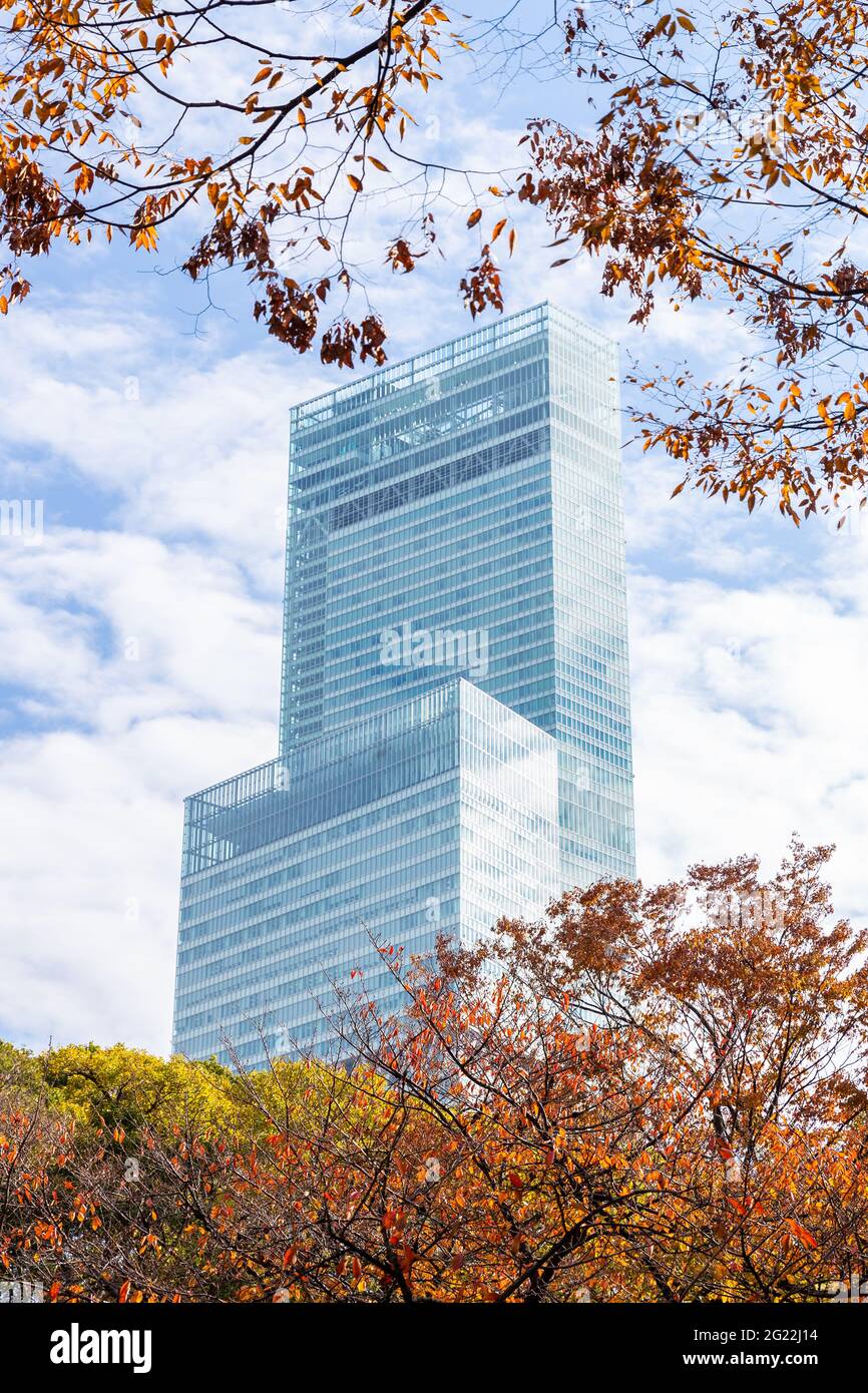 Osaka, Japon - 24 novembre 2018 : Abeno Harukas 300, le plus grand gratte-ciel du Japon avec ciel bleu nuageux et feuilles d'orangers en automne. Banque D'Images