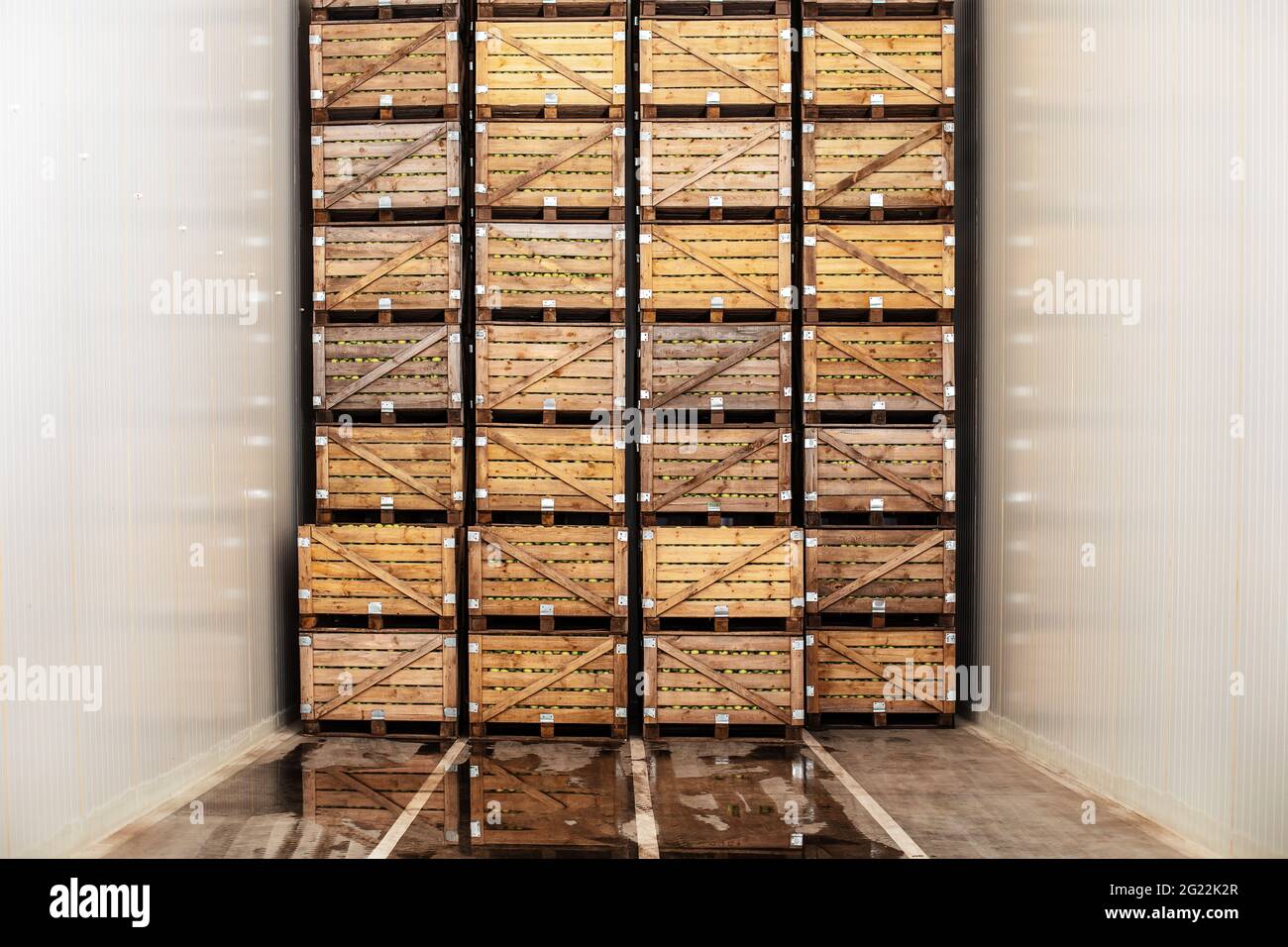 Grande récolte de fruits biologiques à vendre en stock. Entreprise, industrie et production de jus à l'usine Banque D'Images