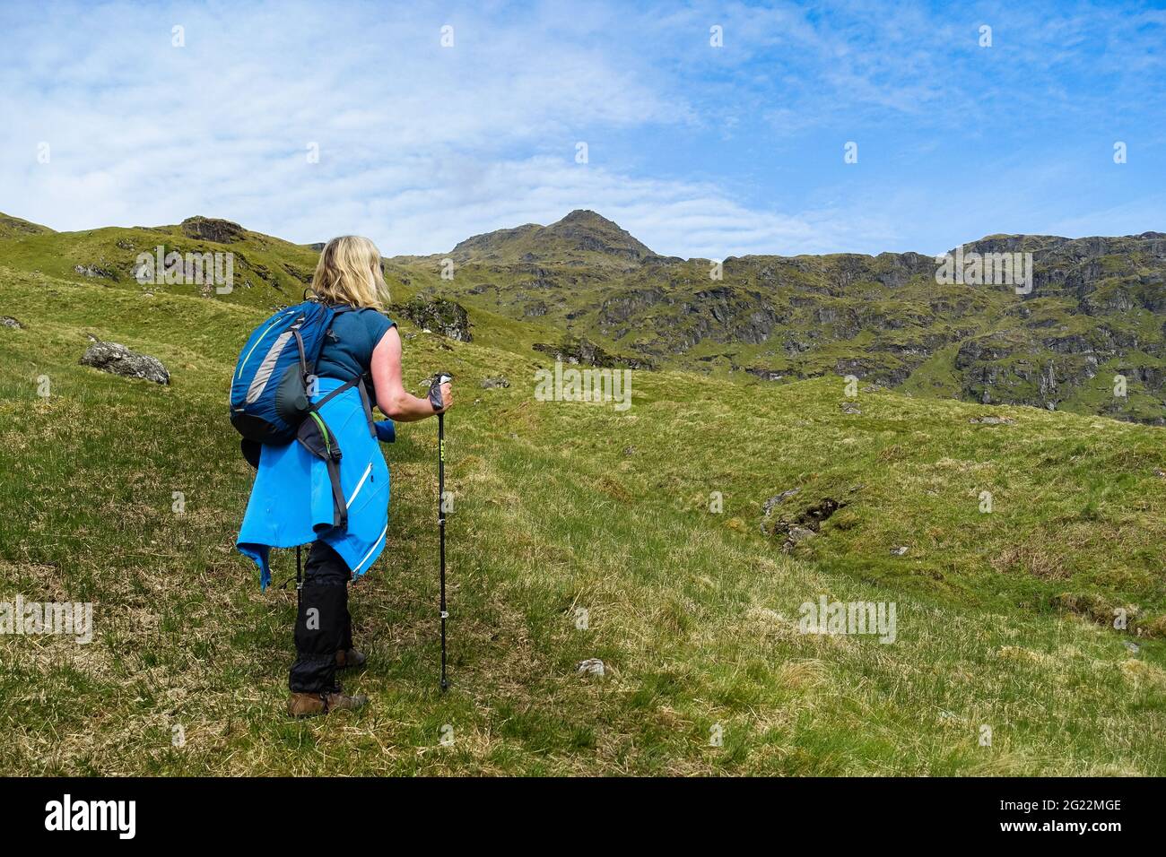 Un marcheur sur les pentes de la montagne Munro de Cruach Ardrain près de Crianlarich, en Écosse, avec le sommet visible en arrière-plan Banque D'Images