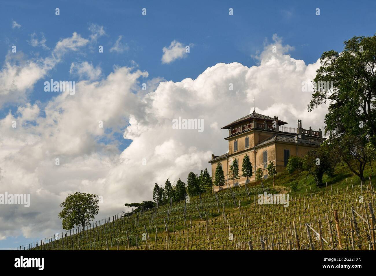 Villa de vacances au sommet d'une colline de vignoble dans la région viticole de Langhe, site classé au patrimoine mondial de l'UNESCO, au printemps, Barbaresco, Cuneo, Piémont, Italie Banque D'Images