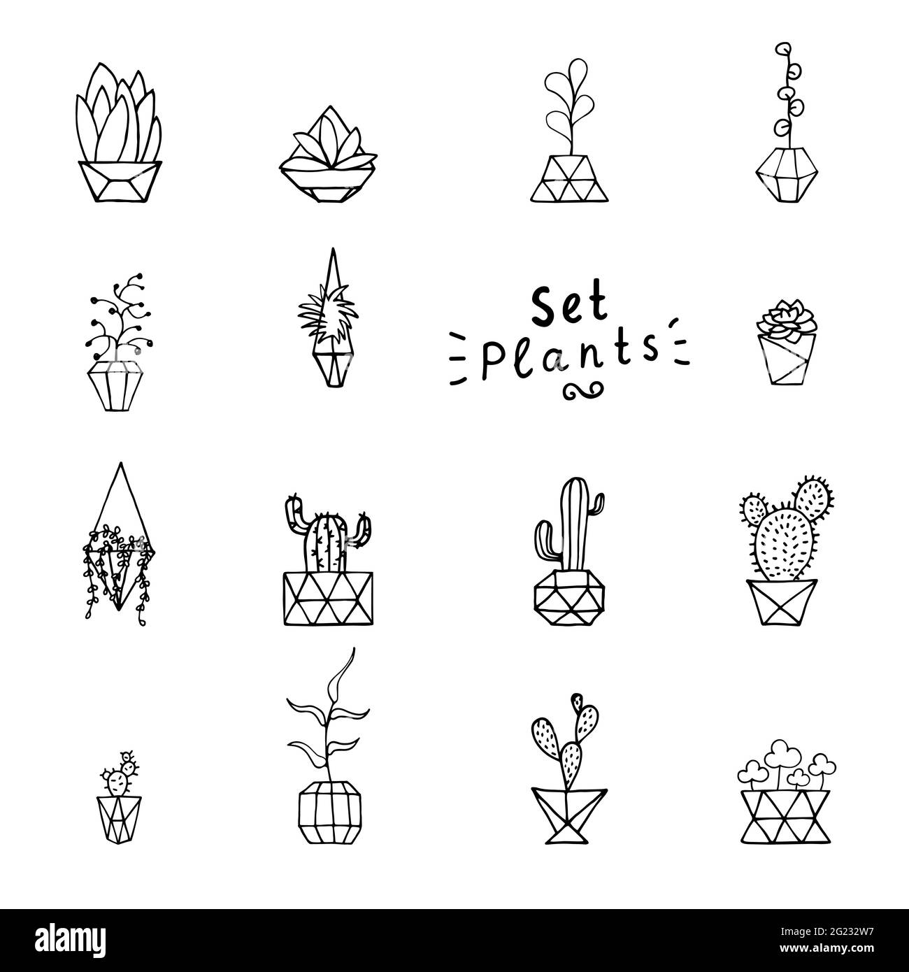 Plante en pot à facettes. Feuilles dessinées à la main, succulents et cactus avec pot de fleurs en poly. Exposer les plantes d'origine isolées sur un fond blanc. Cu Illustration de Vecteur