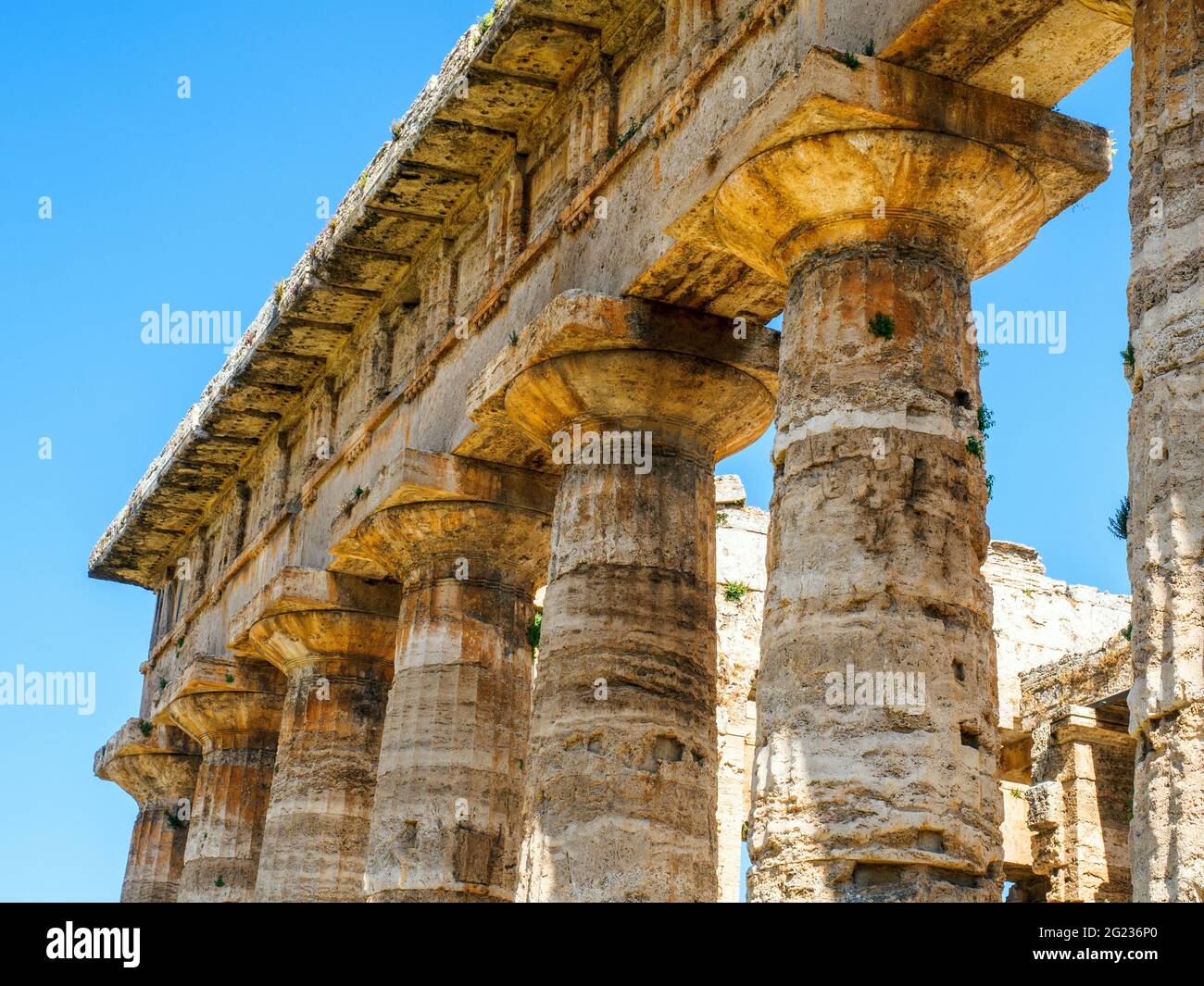 Détail du temple grec de style dorique de Neptune - zone archéologique de ​​Paestum - Salerne, Italie Banque D'Images