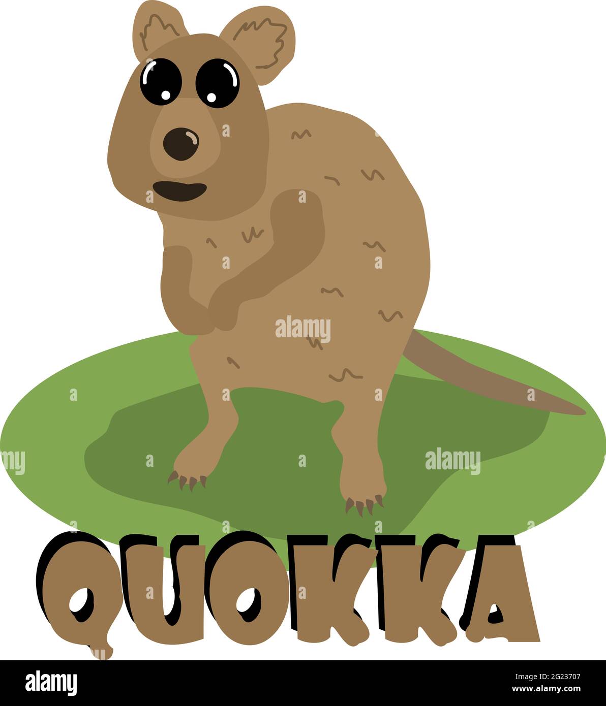 Image d'un joli quokka Banque D'Images