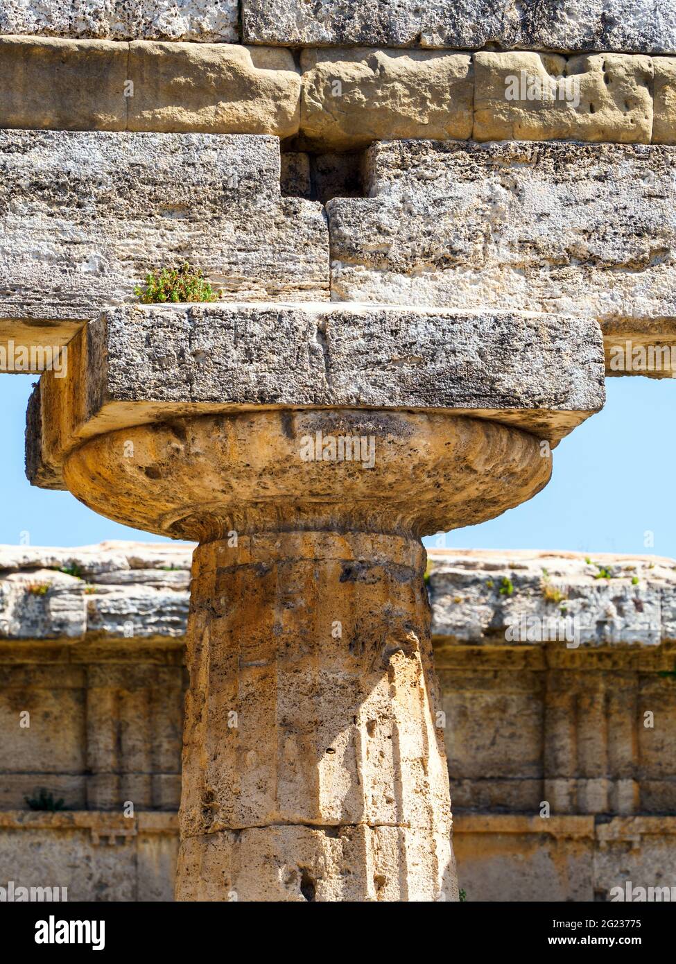 Détail du temple grec de style dorique de Hera (temple archaïque) - zone archéologique de ​​Paestum - Salerne, Italie Banque D'Images