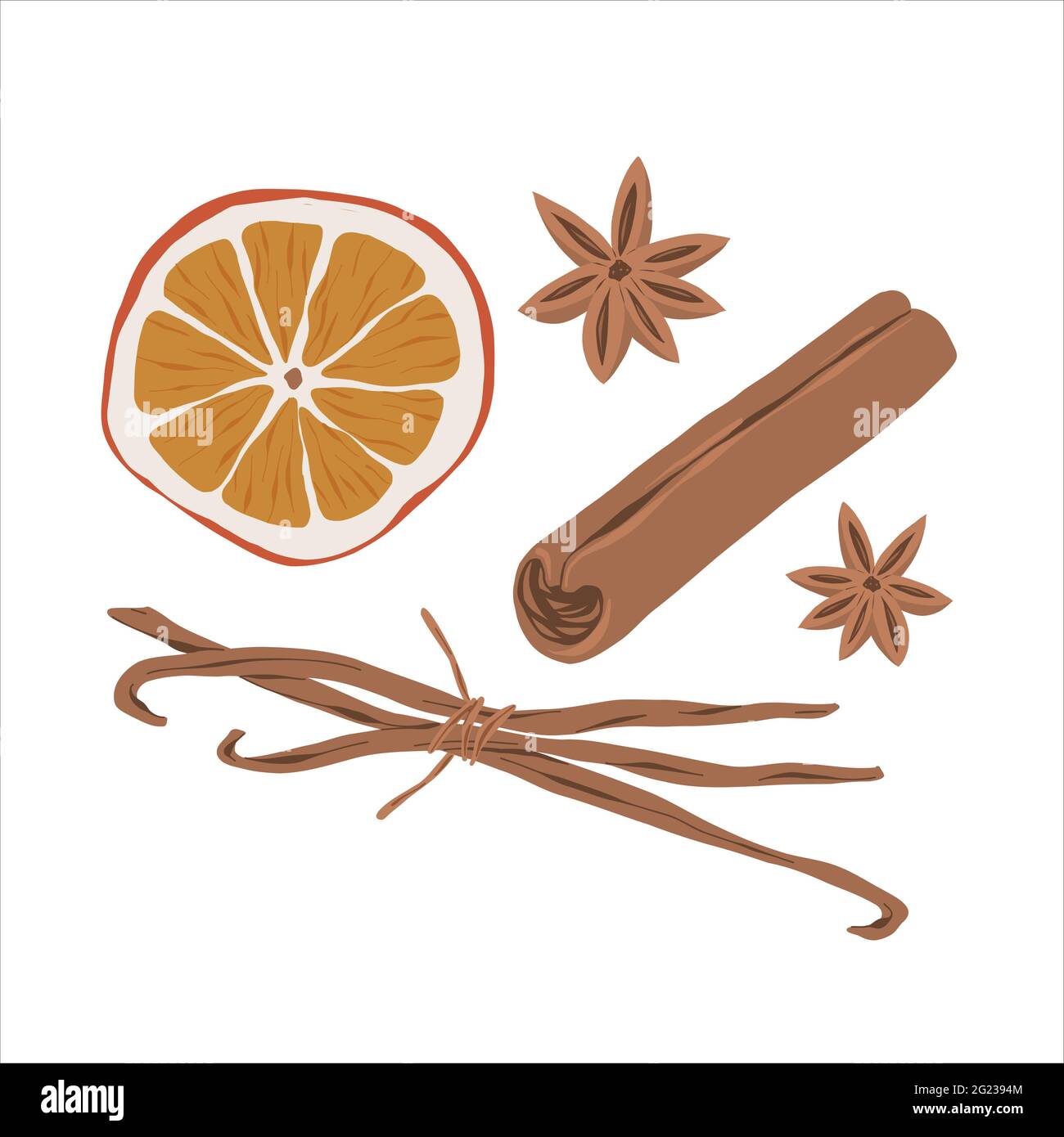 Cannelle, étoile anis, vanille et tranche d'épices d'orange séchées, illustrations d'assaisonnement dessinées à la main, ingrédients de vin chaud, détails réalistes Illustration de Vecteur