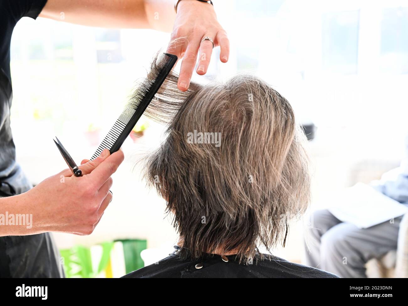 La femme retraité de la vieillesse dans ses années 80 a ses cheveux coupés et stylisés par coiffeur Banque D'Images