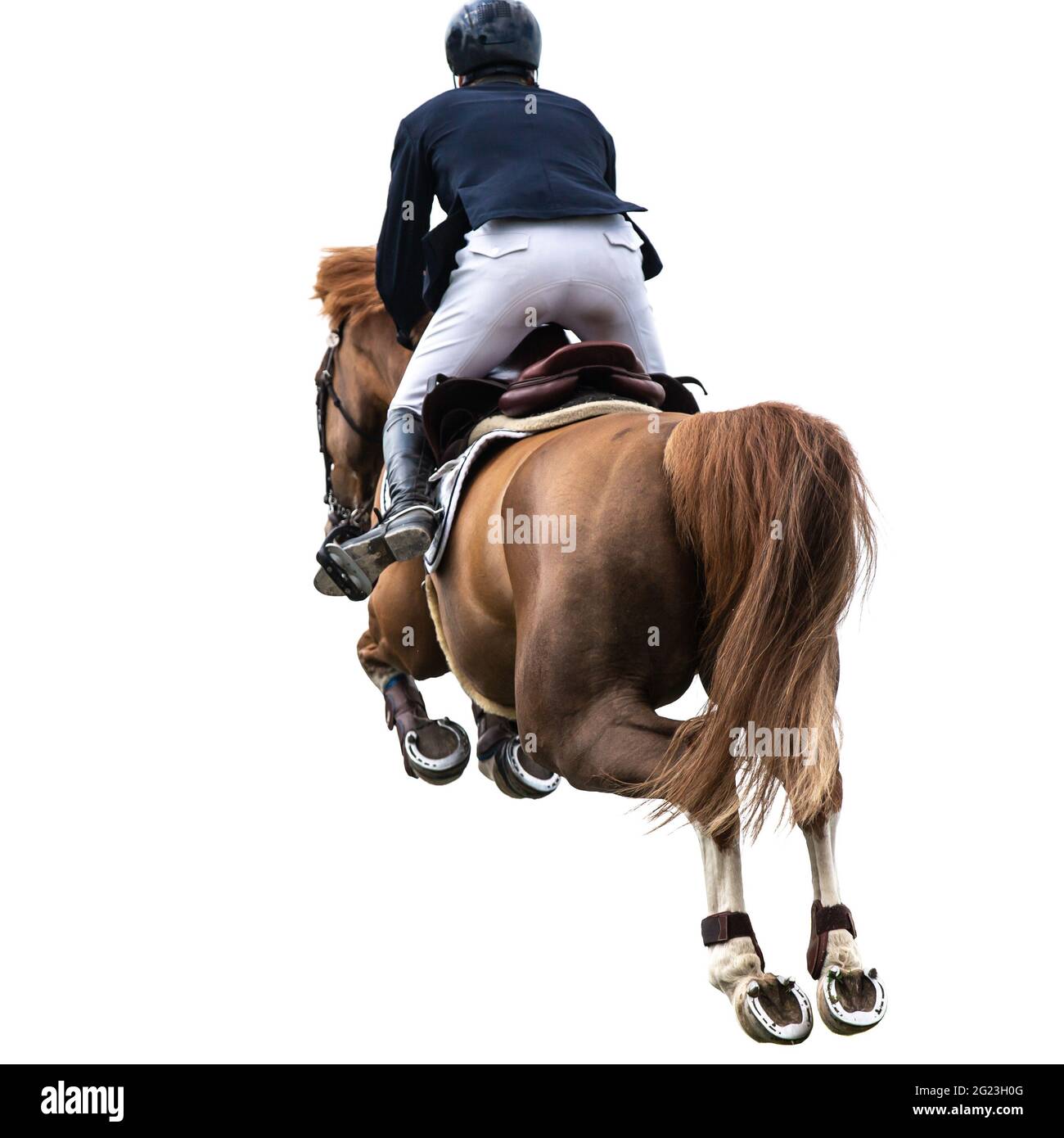 Saut à cheval, sports équestres, spectacle de saut photo thématique Banque D'Images