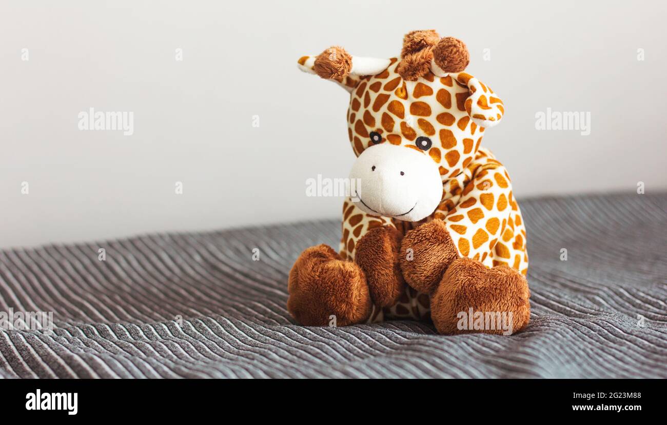 La girafe en peluche pour enfants est assise sur fond gris Banque D'Images