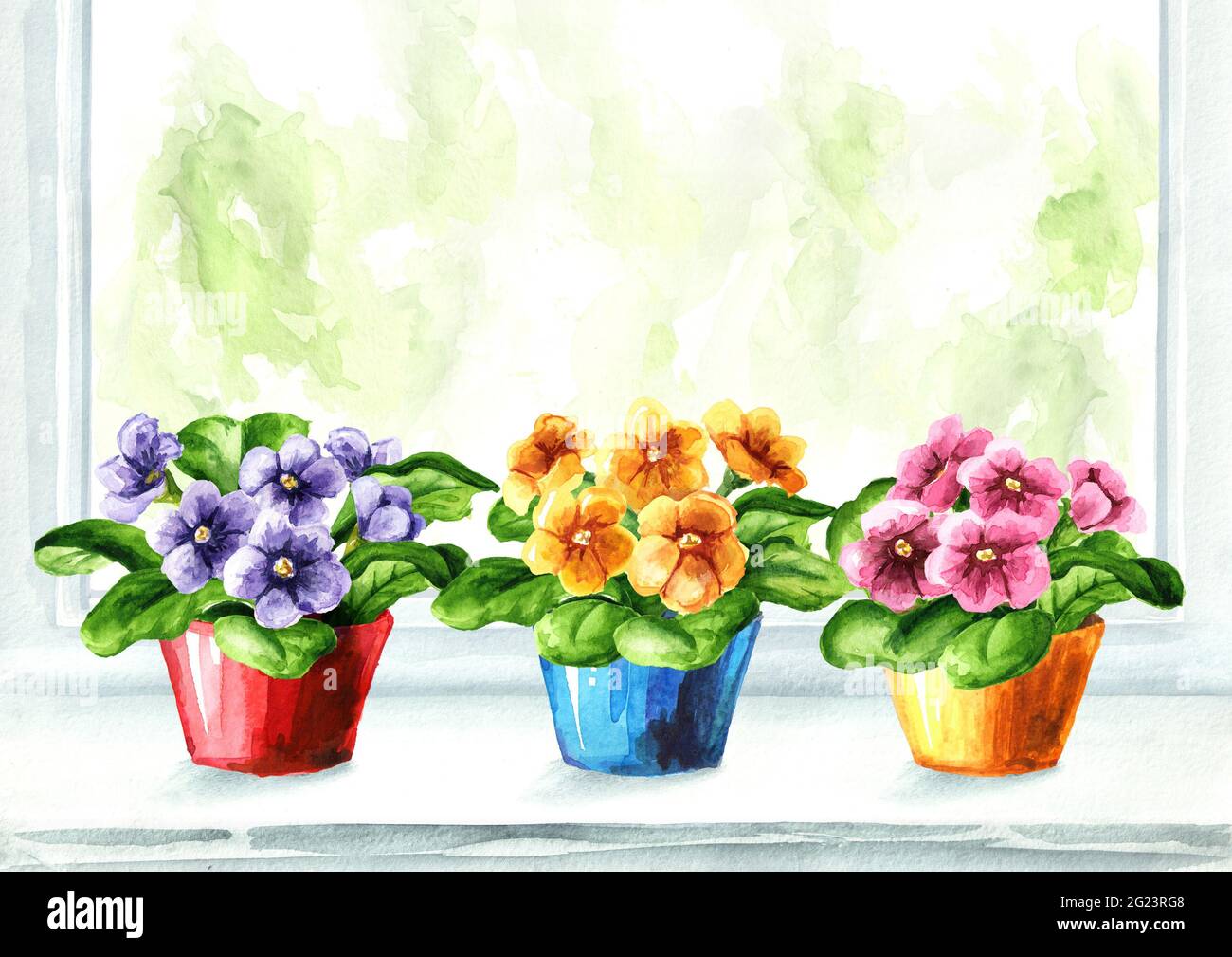 Fleurs en pot de couleur vive sur le rebord de la fenêtre. Aquarelle illustration dessinée à la main isolée sur fond blanc Banque D'Images