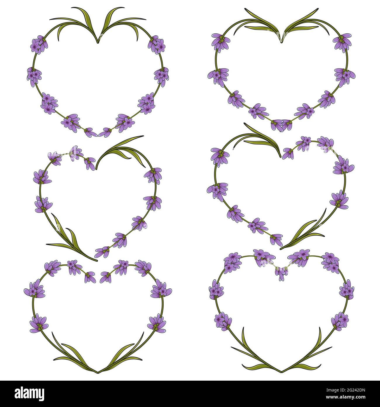 Ensemble de coeur vectoriel de fleurs de lavande. Objets isolés sur blanc. Illustration de Vecteur