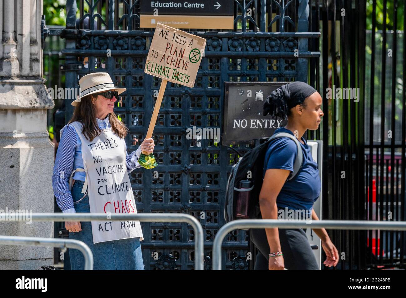 Londres, Royaume-Uni. 8 juin 2021. Nous avons besoin d'un plan - UNE extinction solitaire rébellion contre le climat en dehors du Parlement. Crédit : Guy Bell/Alay Live News Banque D'Images