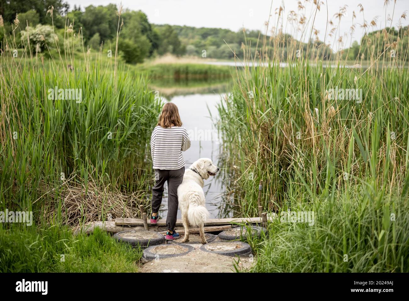 Femme avec grand chien de berger blanc restant sur la jetée sur le lac. Liberté et activité avec les animaux. Copier l'espace. Vue arrière Banque D'Images
