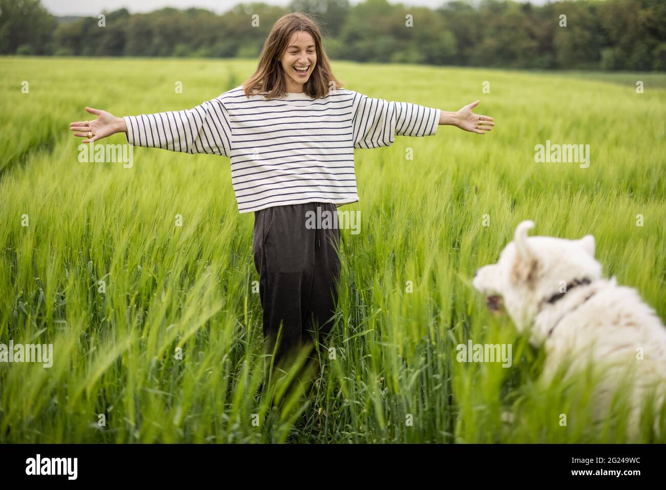Femme avec grand chien de berger blanc drôle marchant sur le champ de seigle vert. Agriculture et vie rurale. Banque D'Images