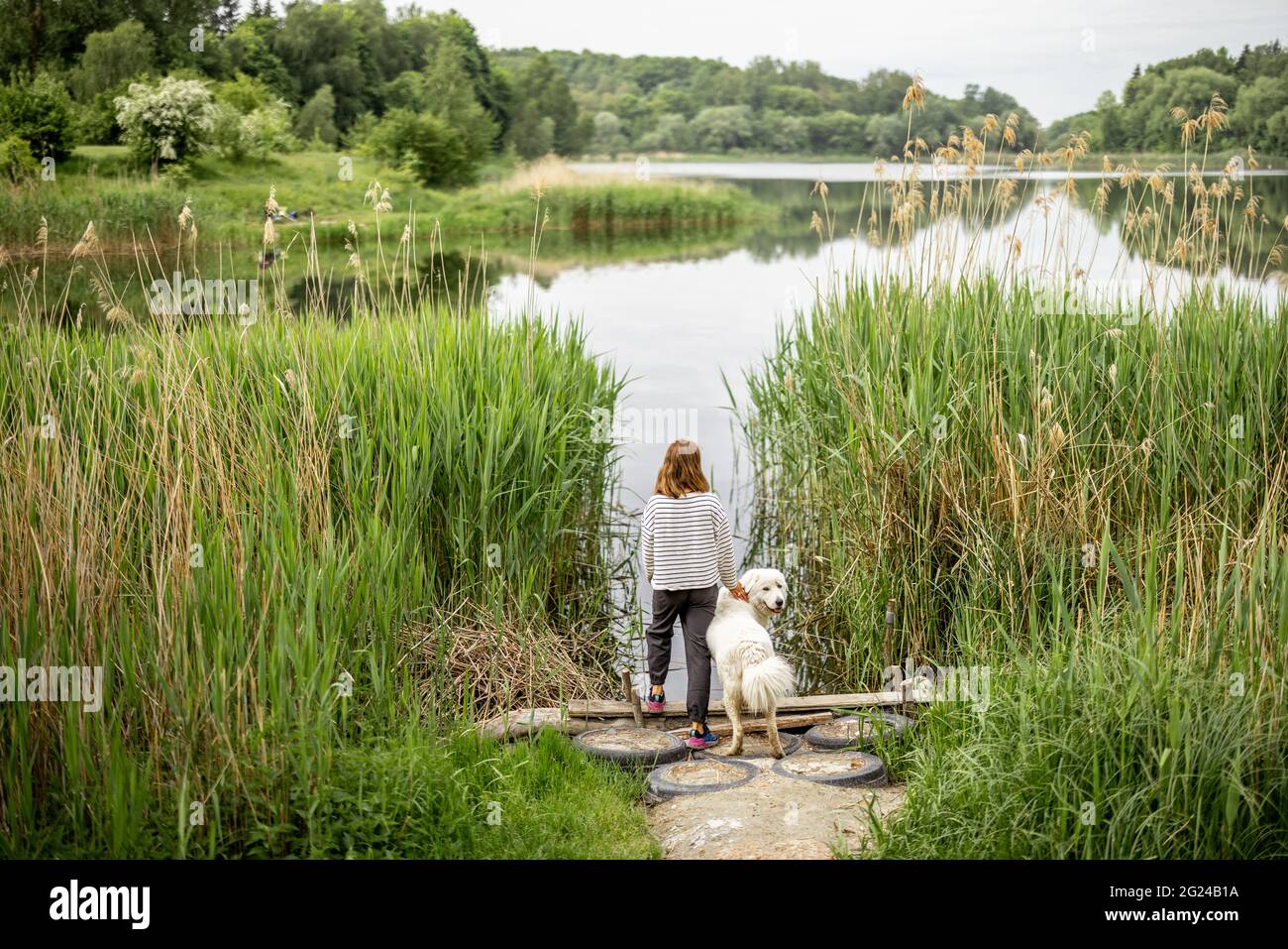 Femme avec grand chien de berger blanc restant sur la jetée sur le lac. Liberté et activité avec les animaux. Copier l'espace. Vue arrière Banque D'Images
