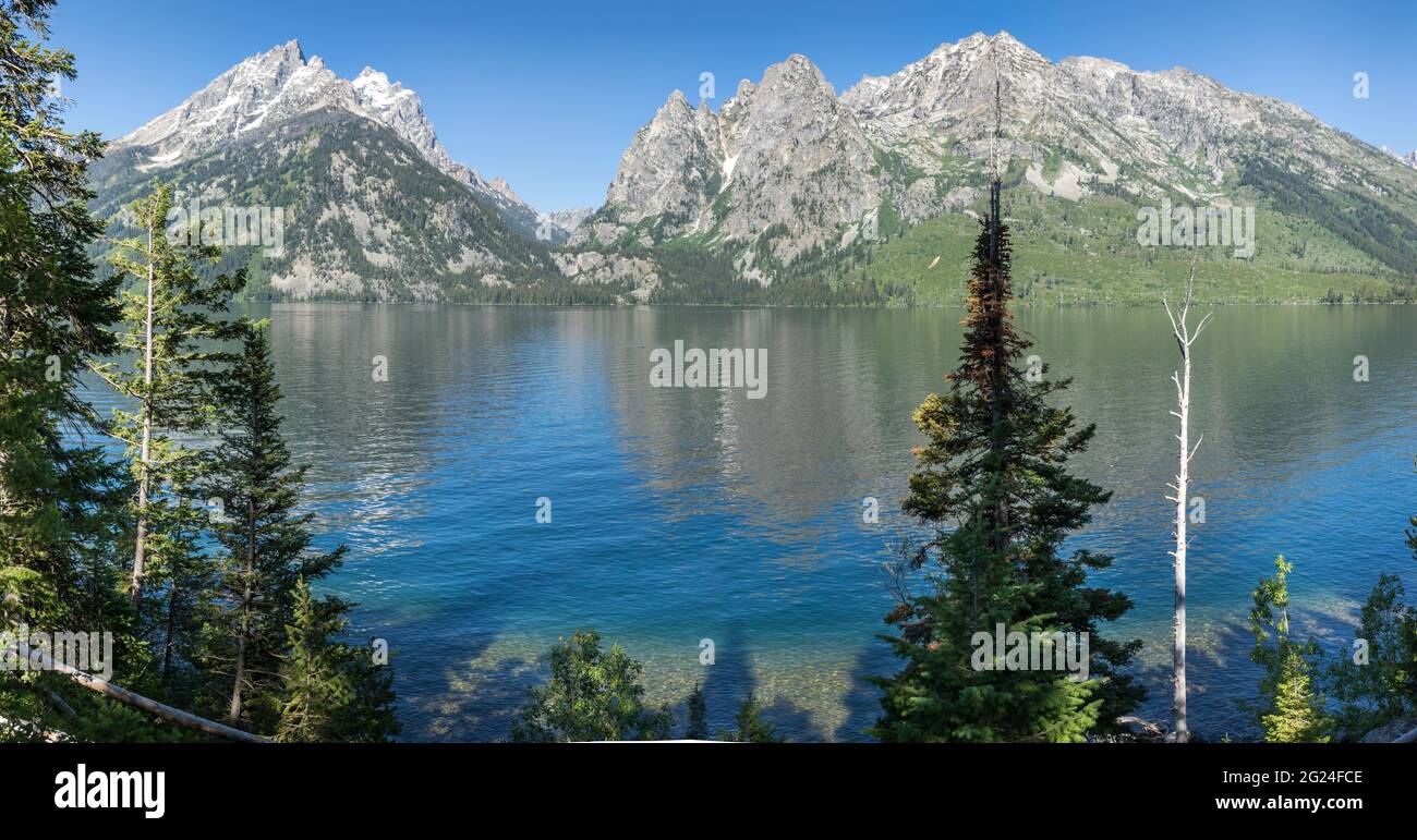 Mountain Range se reflète dans le lac Jenny au parc national de Grand Teton Banque D'Images
