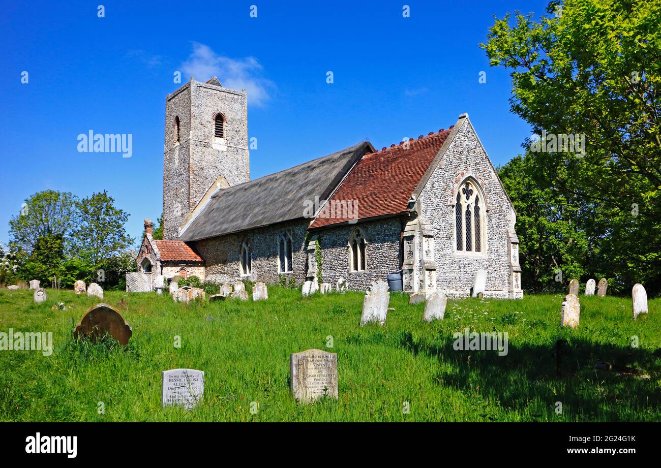 Vue sur l'église paroissiale de St Andrew dans la campagne de Norfolk à Claxton, Norfolk, Angleterre, Royaume-Uni. Banque D'Images