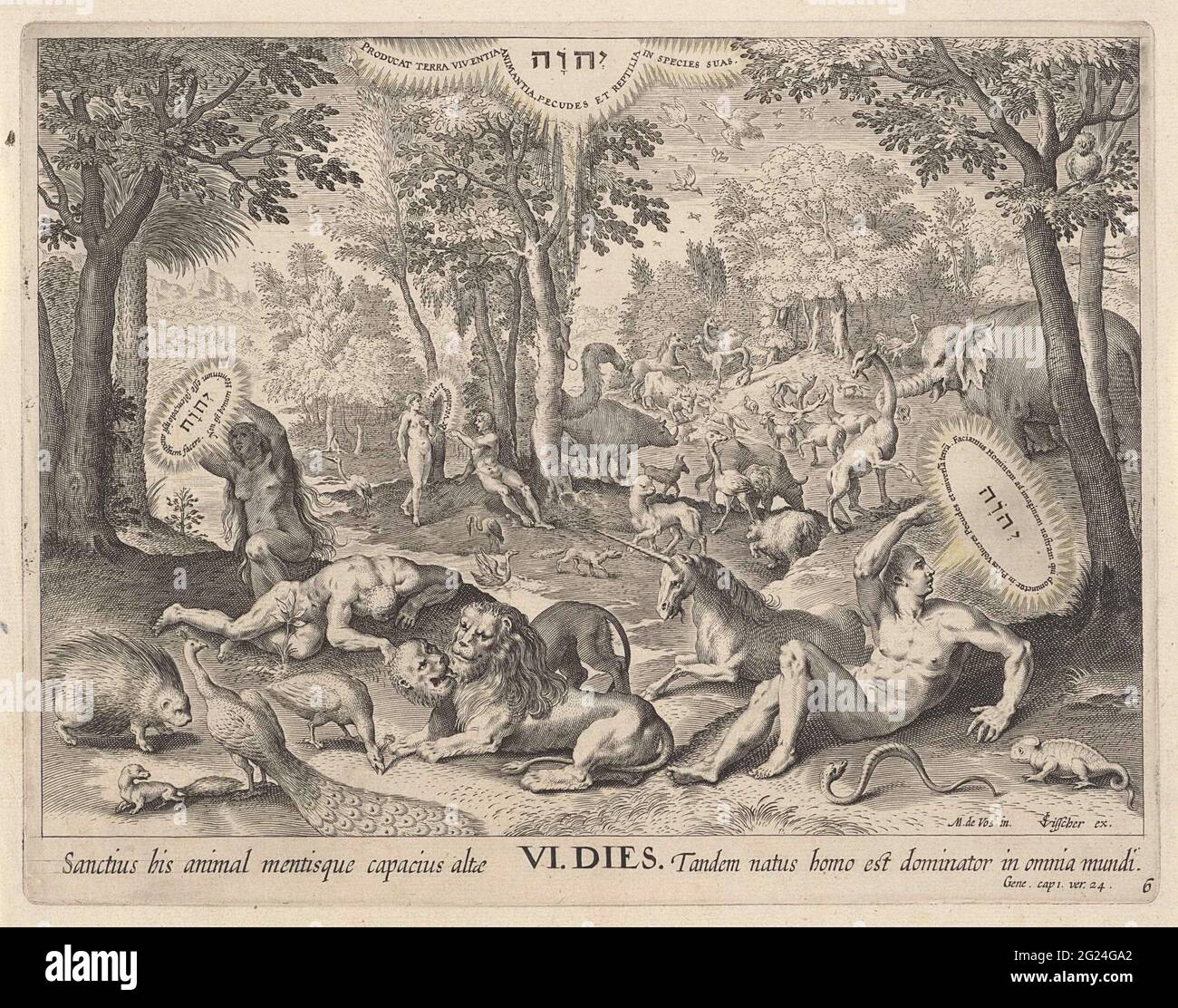 Création d'Adam et Eve; création du monde. Au milieu des animaux, Adam et Eva sont créés par Dieu le Père sous la forme d'un tétragramme. Sur la droite au premier plan, Dieu se plie sur Adam; sur la gauche, EVA est créée à partir DE LA NERVURE d'Adam. Au milieu, deux lions, une licorne et d'autres animaux. Au milieu dans l'arrière-plan, Dieu donne EVA à Adam. Le sixième jour de la création, Dieu créa les animaux du pays et Adam et Eva. L'impression comporte une légende latine. Banque D'Images