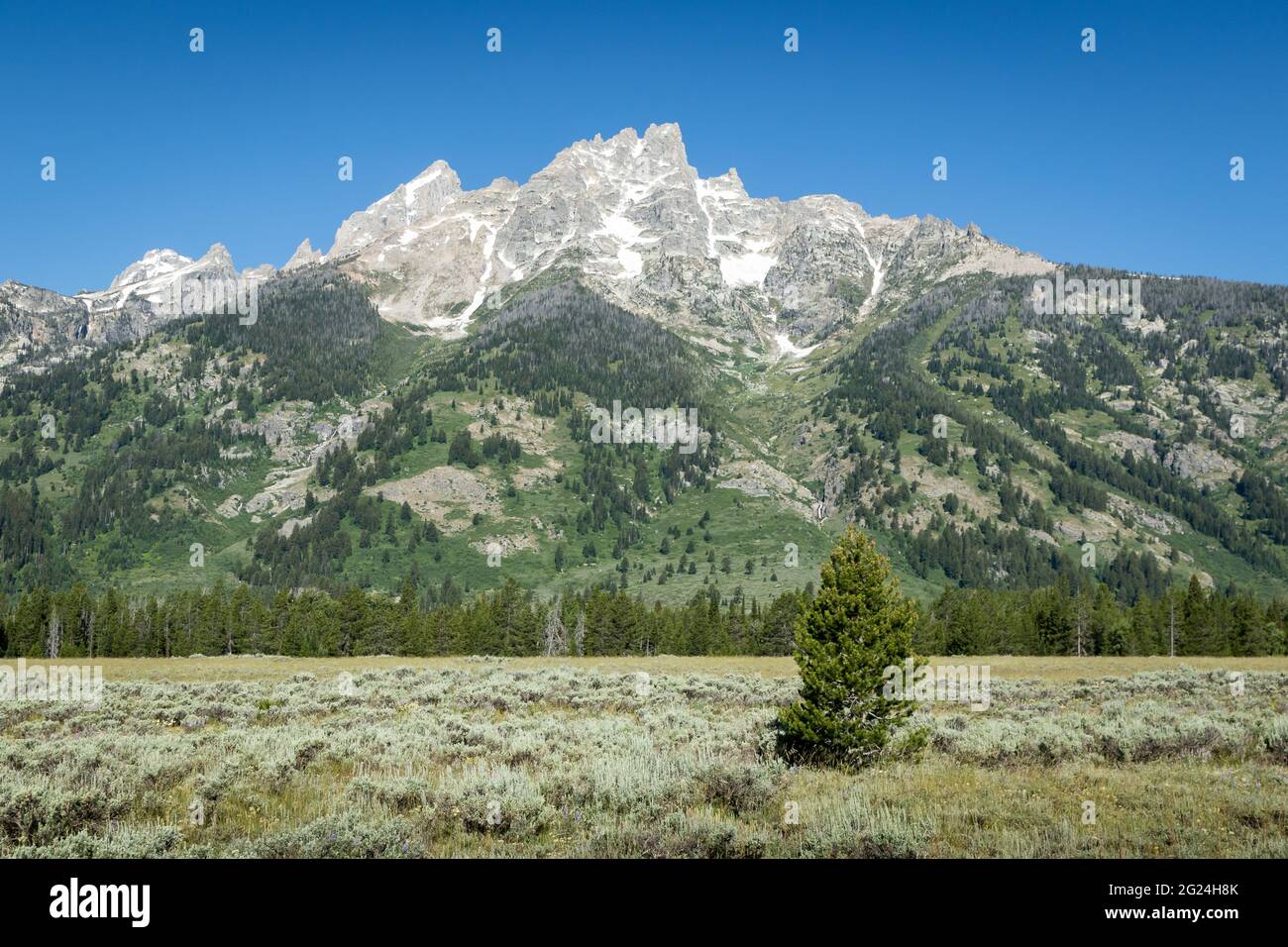 Mount Owen et Teewinot Peaks au parc national de Grand Teton Banque D'Images