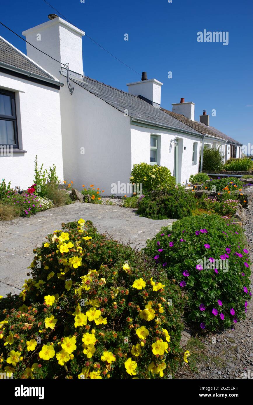 Old Fishermen's Cottages, Amlwch. Banque D'Images