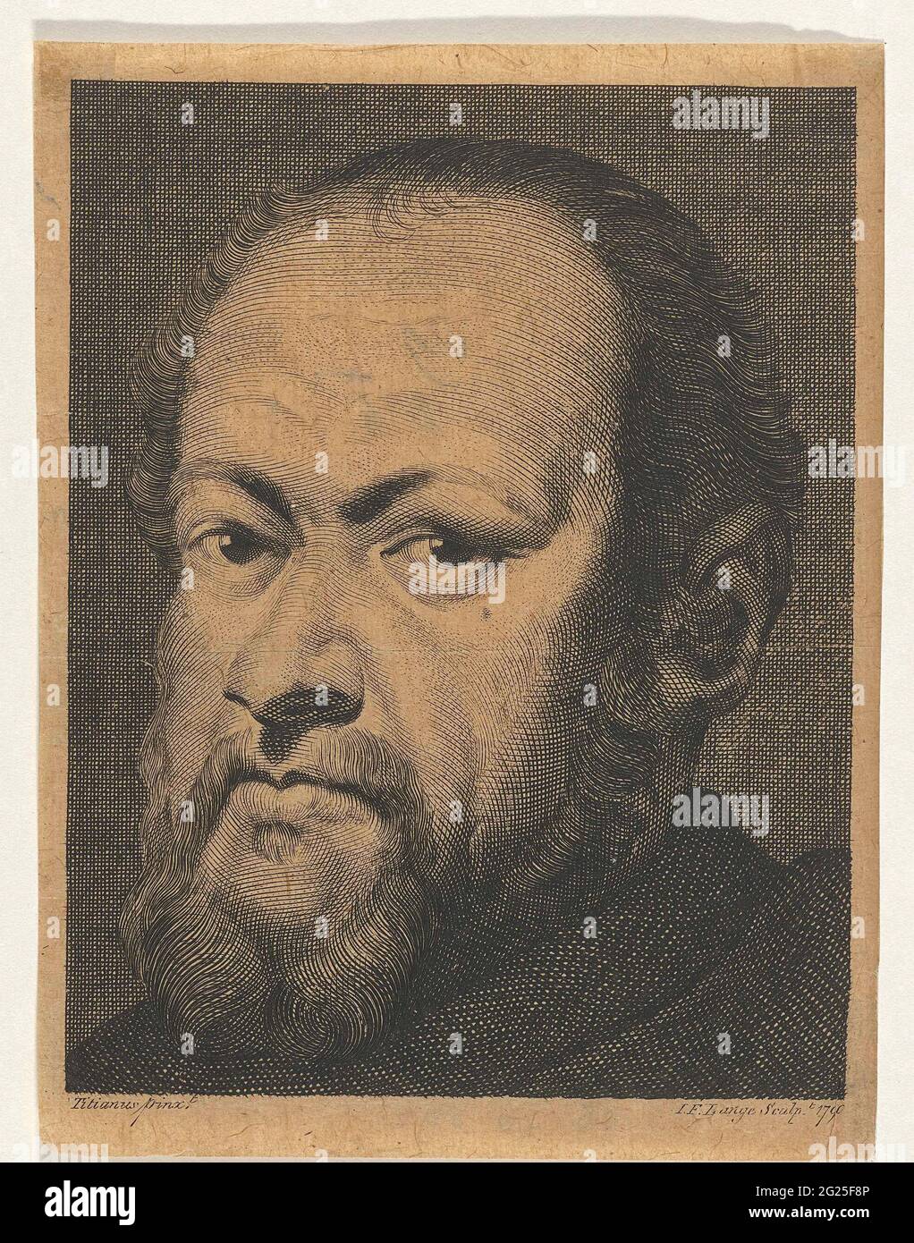 Portrait d'un homme inconnu. Coupe d'un homme inconnu avec barbe, tête de barehead et trois quarts tourné vers la gauche. Banque D'Images