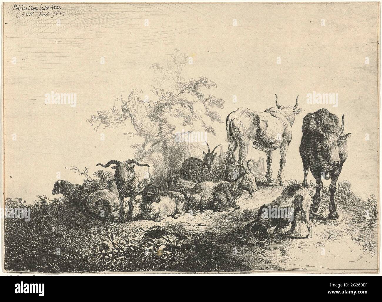 Paysage avec du bétail et une femme de ménage de lait. Il y a des vaches, des chèvres et un chien dans un paysage. Derrière elle se trouve un lait dans un joug sur ses épaules. Banque D'Images