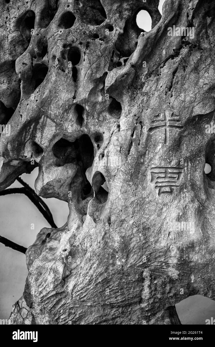 personnages chinois sculptés dans l'ancien arbre Banque D'Images
