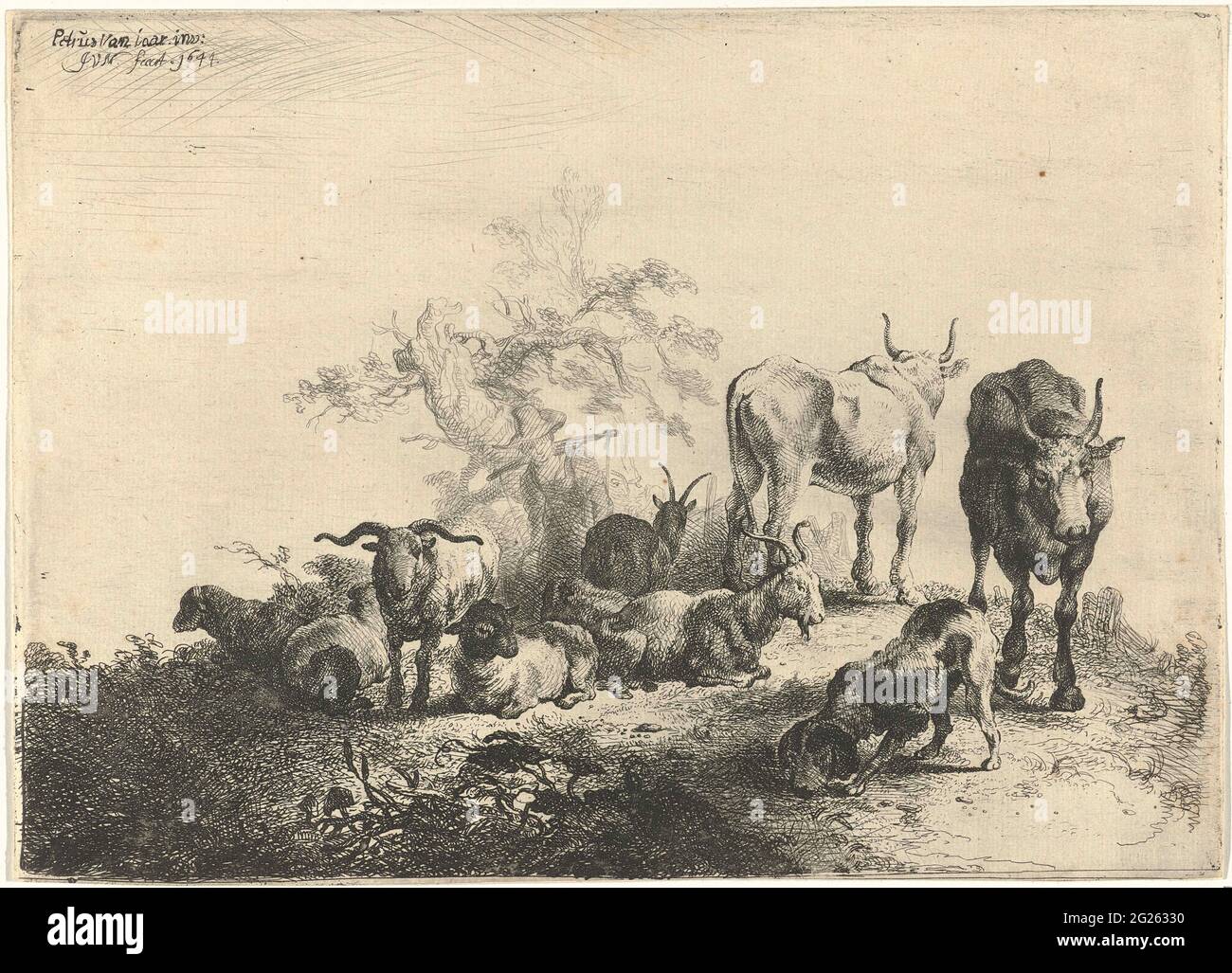 Paysage avec du bétail et une femme de ménage de lait. Il y a des vaches, des chèvres et un chien dans un paysage. Derrière elle se trouve un lait dans un joug sur ses épaules. Banque D'Images