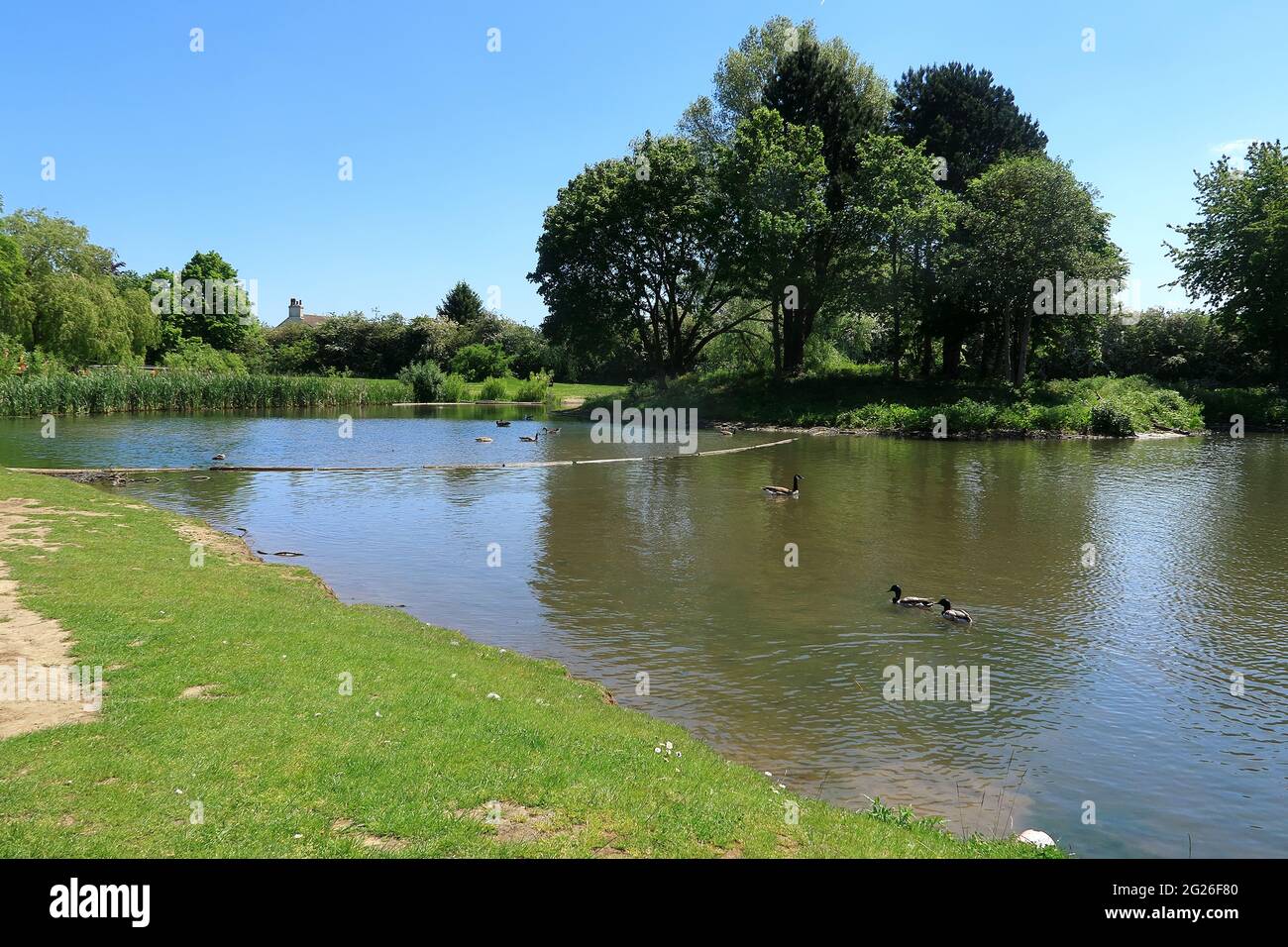 Un paysage magnifique et pittoresque au parc national de Swanley Banque D'Images