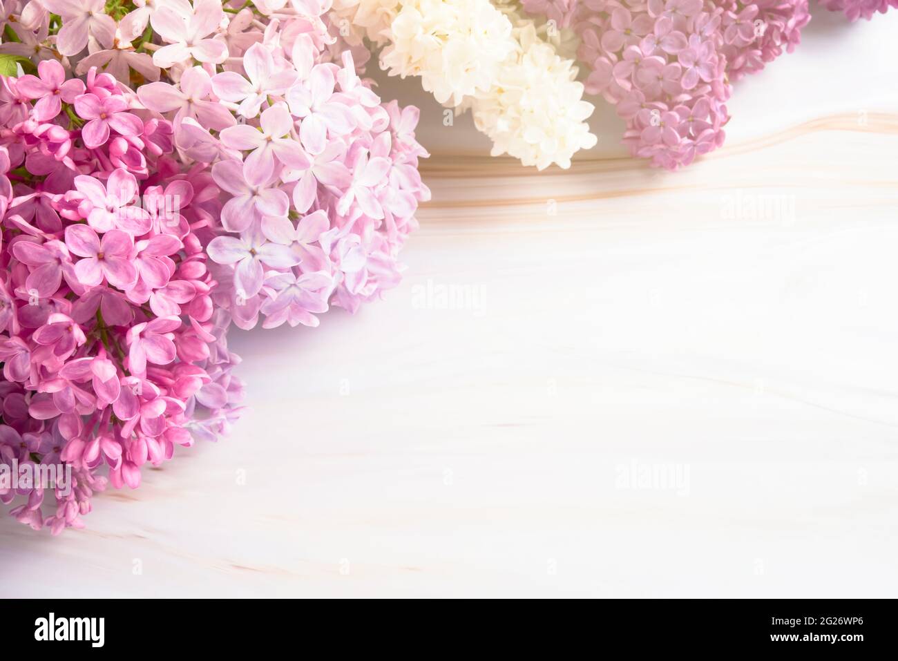 Fleurs de lilas sur fond de marbre. Belle bordure de fleur violette lilas.  Vue de dessus, espace de copie pour votre texte Photo Stock - Alamy