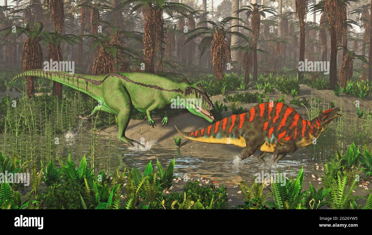 Carcharodontosaurus pourchassant après un Ouranosaurus dans les zones humides d'Afrique du Nord. Banque D'Images