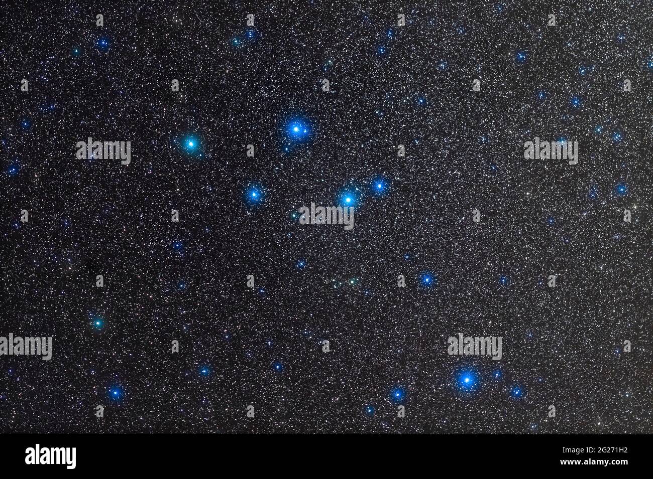 La petite constellation de Delphinus. Banque D'Images