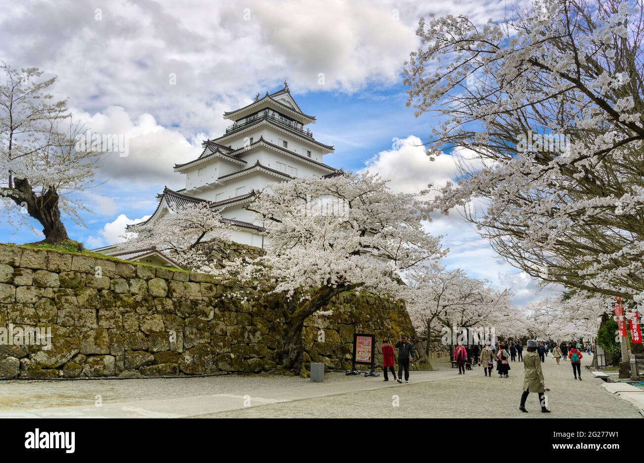 Fukushima, Japon - 2018 avril 15 : les touristes marchent pour voir les cerisiers en fleur au château de Tsuruga-JO ou au château de Wakamatsu dans la ville d'Aizu-Wakamatsu. i Banque D'Images