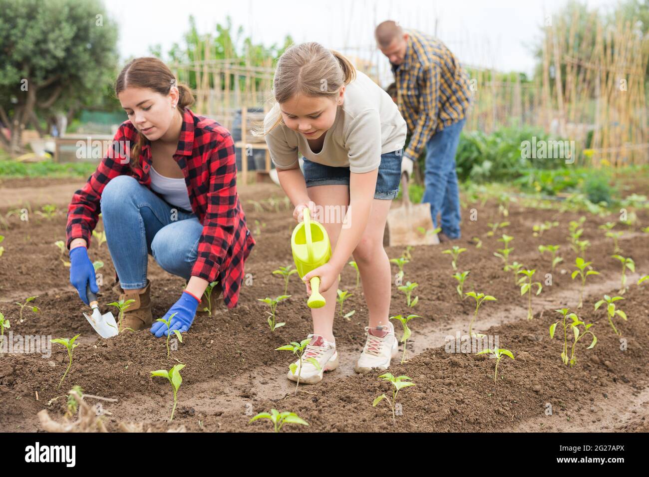 Petite fille avec arrosage de famille plantant des semis Banque D'Images