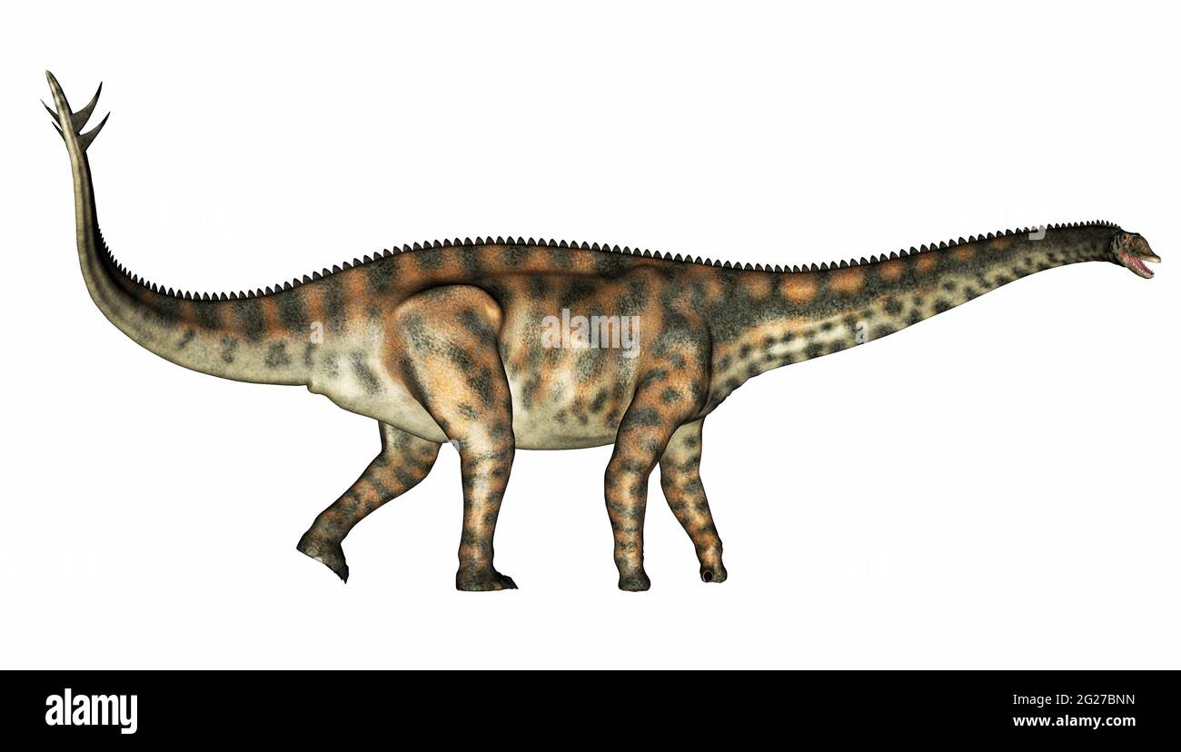 Découverte des dinosaures de Spinnophorosaurus, isolés sur fond blanc. Banque D'Images